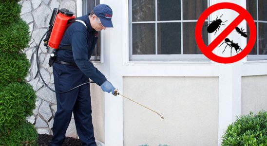 Tire Böcek İlaçlama böcek ilaçlama ve haşere kontrolü — ilaclama-tr.com